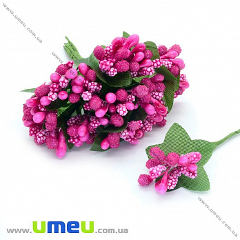 Тичинки на дроті, Малинові (DIF-008417)