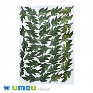 Заготівля малюнків для об'ємних аплікацій (UPK-049861)