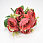 /ru/p62195-buket-pionov-s-romashkami-32-sm/