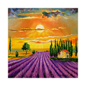 Набор алмазной живописи на подрамнике 30х30 см, Лавандовое поле (SXM-056353)