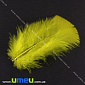 Перья Индейки, Желтые, 7-12 см (PER-001768)
