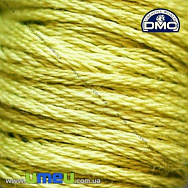 Муліне DMC 0166 Мох, ср.св. (DMC-005812)