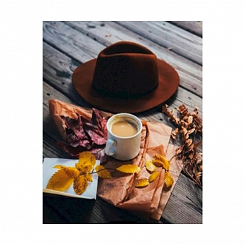 Набор алмазной живописи на подрамнике 50х40 см, В ожидании (SXM-051391)