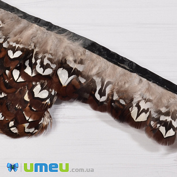 Перья фазана на ленте, 4-5 см, Коричневые натуральные (PER-040433)