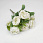 /p57661-buket-roz-32-sm-beliy/