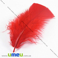 Перья Индейки, Красные, 7-12 см (PER-001778)