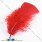 Перья Индейки, Красные, 7-12 см (PER-001778)