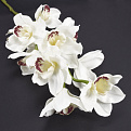 Ветка орхидеи, 80 см, Белая (DIF-062110)
