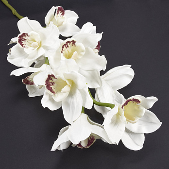 Ветка орхидеи, 80 см, Белая (DIF-062110)