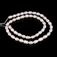 Бусины Жемчуг речной натуральный молочный, Рис, Класс А, 7-9х5-7 мм (35 см) (BUS-051830)