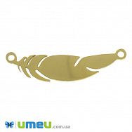 Конектор з нерж. сталі Перо, 33х8 мм, Золото (STL-039731)