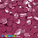 /p37450-payetki-indiya-kruglie-ploskie-smeshyennoe-otverstie-6-5-mm-malinovie/