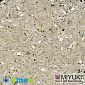 Бисер японский Miyuki QUARTER TILA №592, 5х1,2 мм, Кремовый (BIS-046093)