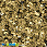 /ru/p41812-payetki-indiya-kruglie-ploskie-3-mm-bronzovie/