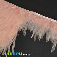 Пір'я півня на стрічці, 8-15 см, Персикові (PER-038934)