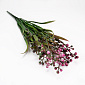 Гілка з ягодами, 37 см, Рожева (DIF-054117)