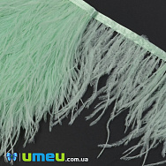 Пір'я страуса на стрічці, 10-15 см, М'ятні (PER-040306)