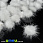 /p36108-pompon-norkoviy-2-2-5-sm-beliy/