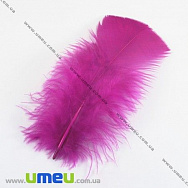 Перья Индейки, Малиновые, 7-12 см (PER-001774)
