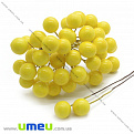 Калина велика, 12 мм, Жовта (DIF-015057)