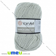 Пряжа YarnArt Bianca Lana Lux 100 г, 250 м, Сіра 858 (YAR-029638)