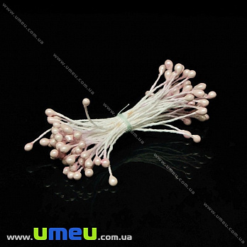 Тичинки на нитці маленькі, рожеві світлі (DIF-029861)