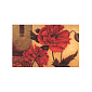 Набор для вышивания нитками, 6D Маки, 70х46 см (SXM-061220)