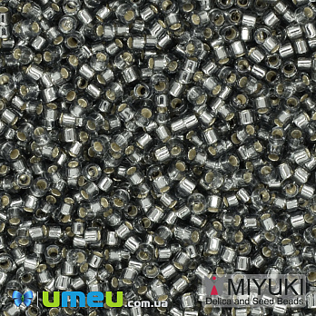 Бісер японський Miyuki Delica 11/0 DB048, Сірий (BIS-040002)