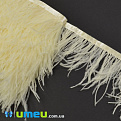 Перья страуса на ленте, 8-10 см, Кремовые (PER-040277)
