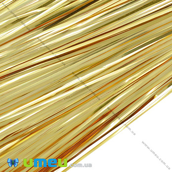 Бить плоская 1 мм, Золотистая (KNT-053477)