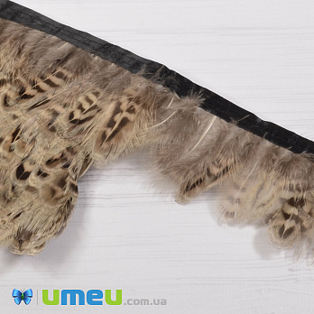 Перья фазана на ленте, 4-5 см, Бежевые натуральные (PER-040434)