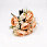 /ru/p55178-buket-roz-33-sm-persikoviy/