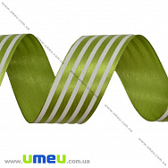 Атласна стрічка в смужку, 25 мм, Салатова (LEN-016705)