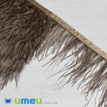 Перья страуса на ленте, 8-10 см, Коричневые (PER-038901)
