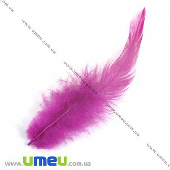 Пір'я Півня, Малинові, 7-12 см (PER-002618)