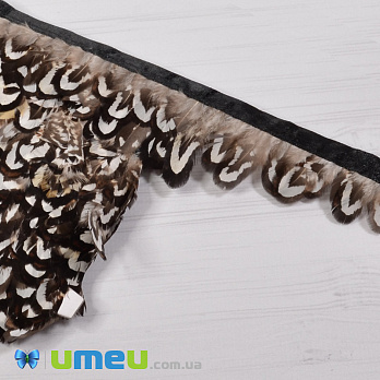 Перья фазана на ленте, 2-4 см, Коричневые натуральные (PER-040432)