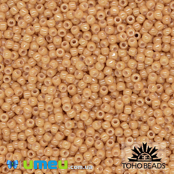 Бисер японский TOHO Круглый 11/0 №123D, Бежевый (BIS-043221)