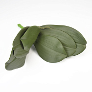 Корінь орхідеї, 28 см, Зелений (DEC-057805)