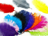 Пір'я декоративні